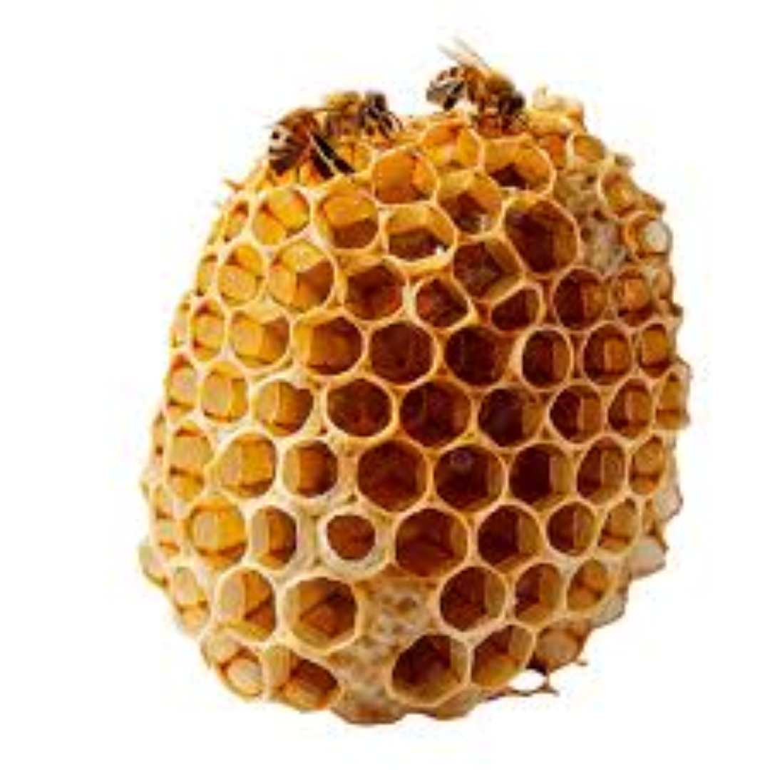 ALL TIME HONEY IN BEEHIVE SHAPE PET 500G